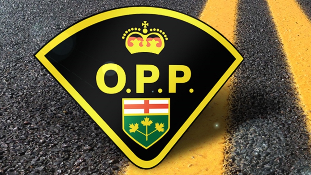 Ontario Provincial Police in East Algoma have charged the supervisor of the Mississauga First Nation Women's Shelter with fraud and breach of trust. (File)