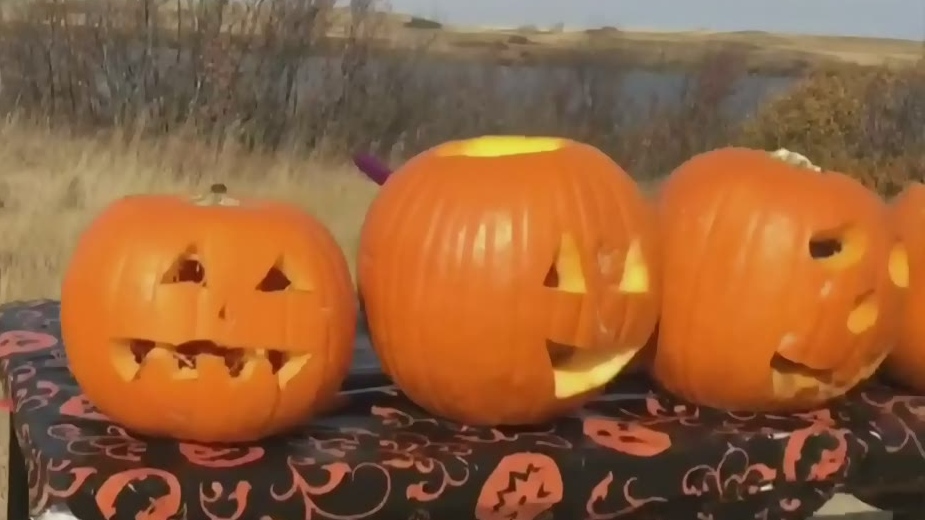 Now that Halloween is over, Greater Sudbury is encouraging residents to put their pumpkins in compost bins.(File)