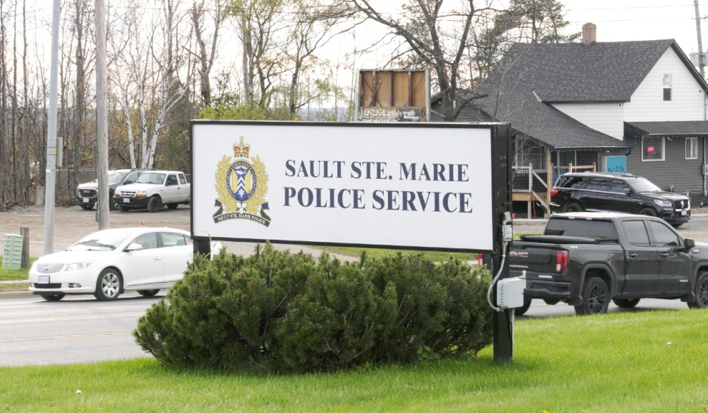 An attempted robbery Monday on Bay Street in Sault Ste. Marie took a scary turn when the suspect pulled out a hatchet. (File)