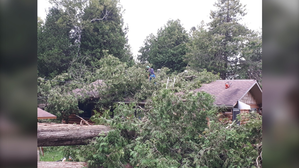 David and Debby Thomlinson provided CTV News with a series of photos showing the extent of the damage on their property caused by strong winds with toppled and split trees. (Photos provided by David Thomlinson)
