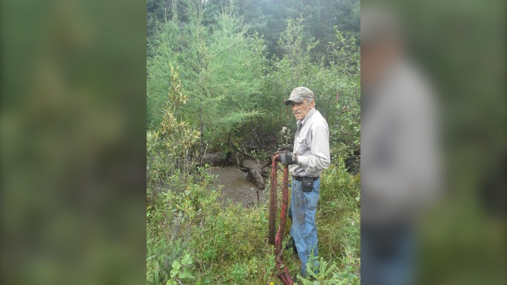 Timmins, Ont., prospectors rescue moose trapped in mud hole | CTV News