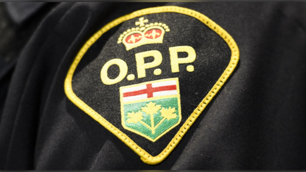 Ontario Provincial Police in Sault Ste. Marie charged three people after responding to a theft call early Wednesday morning. (File)