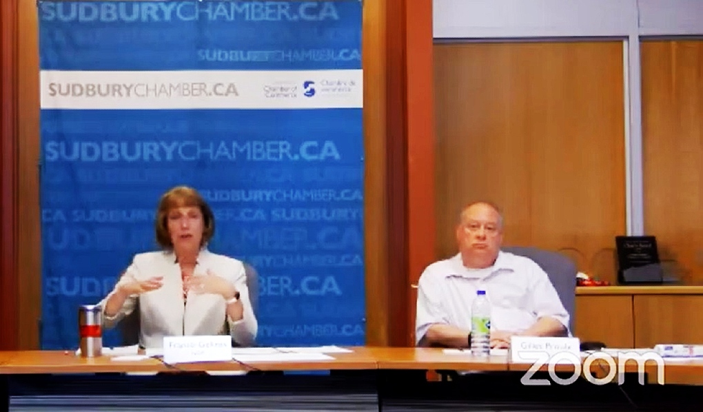 NDP incumbent France Gelinas and Liberal hopeful Gilles Proulx were the only candidates who took part in Thursday evening's online debate for Nickel Belt. (Photo from video)