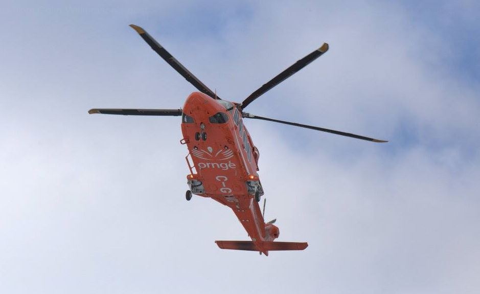 The owner of a mixed breed dog in French River had to be airlifted by ORNGE air ambulance July 14 after they were attacked by their own dog. (File)