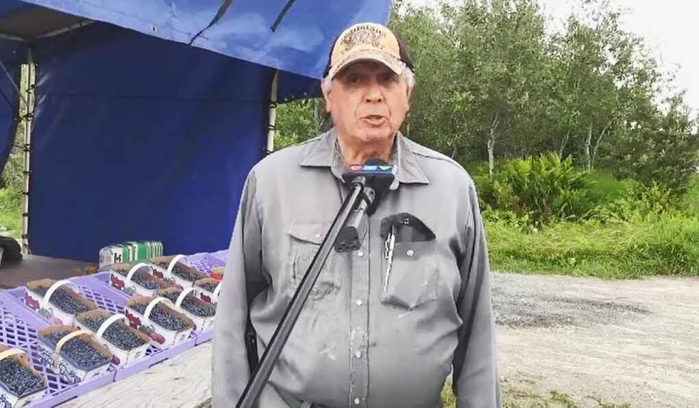 Arthur Chokuette is known as the Blueberry Guy and has a stand along highway 69 south. In the blueberry business for 40 years, he said the crop is light this year. (Photo from video)