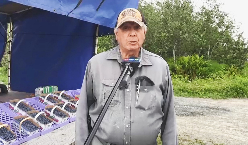 Arthur Choquette is known as the Blueberry Guy and has a stand along highway 69 south. In the blueberry business for 40 years, he said the crop is light this year. (Photo from video)