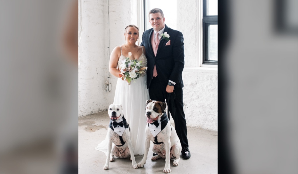 Northern Ont. information: Sault-area enterprise helps pets be there for a pair’s ‘I do’s’