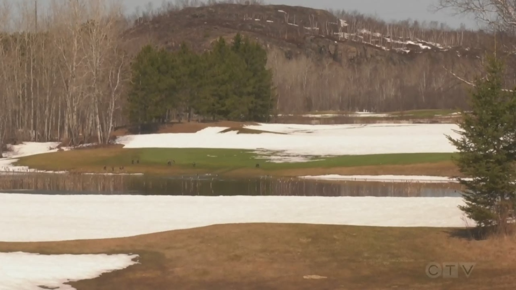 Cedar Green Golf Club in Greater Sudbury, Ontario, Canada