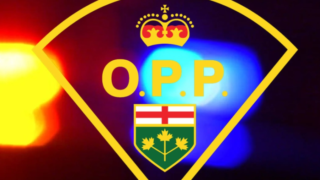 Ontario Provincial Police logo and cruiser lights (supplied)
