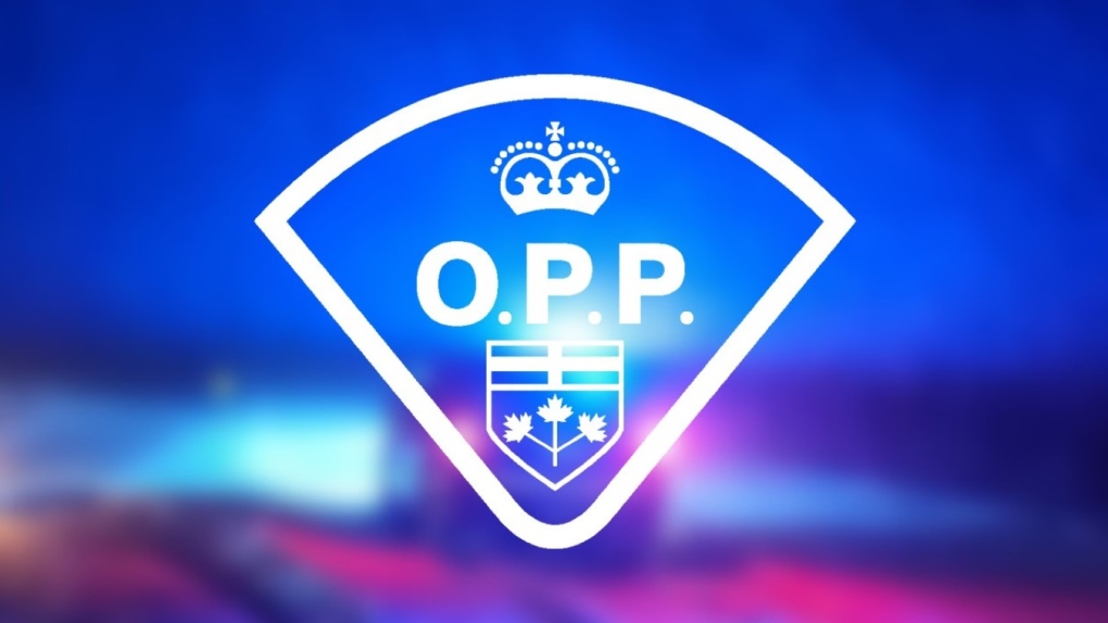 The Ontario Provincial Police crest in white with a police vehicle in the background and blue and red lighting. (File photo/Supplied/Ontario Provincial Police)