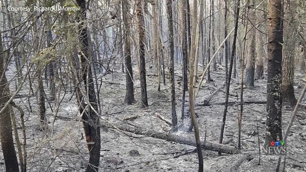 Wildfire rages near northern Ont. town