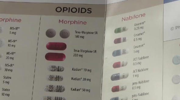 Pamphlet identifying prescription drugs in Canada