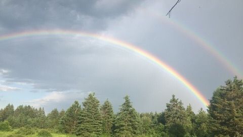 double rainbow