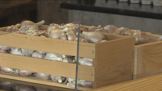 Northern Ontario Celebrates National Garlic Day 2